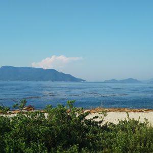 WordCamp男木島バーベキュー懇親会会場の灯台キャンプ場から見た海