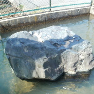 湖南 蛙石