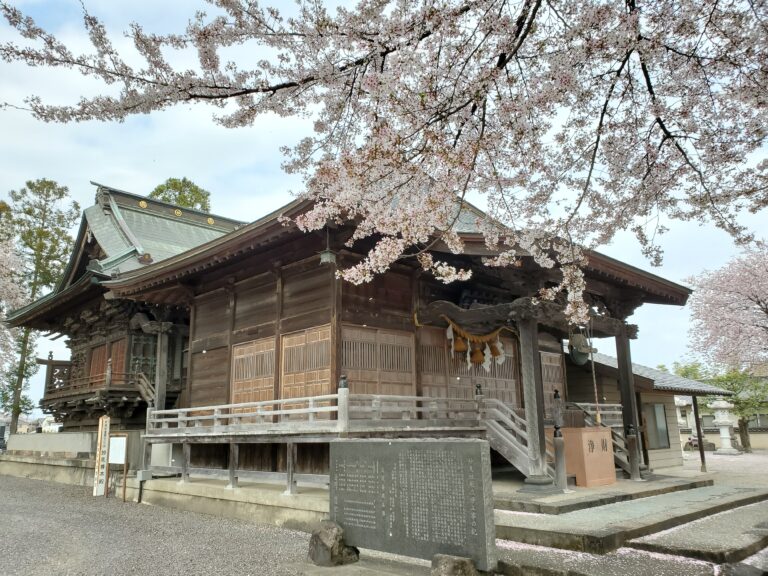 妙見寺と桜