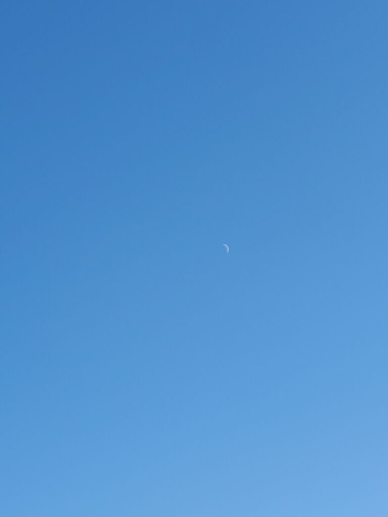 13時過ぎの真昼間の空に月って見えるのですね……