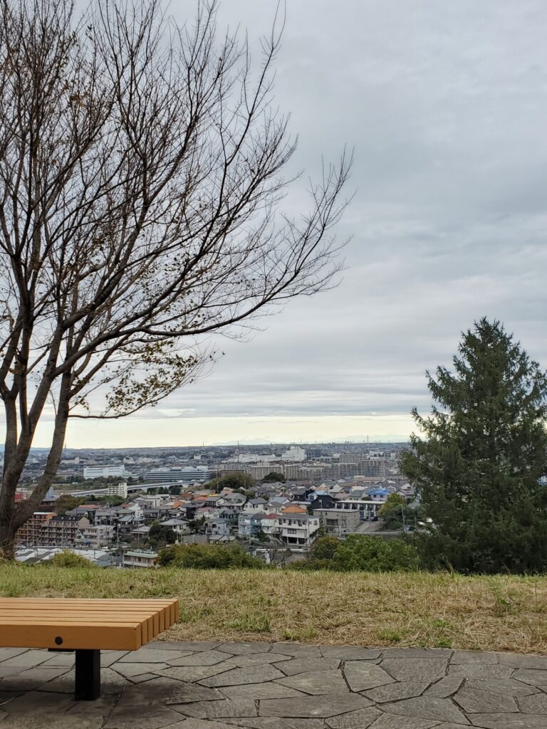桜ヶ丘公園 ゆうひの丘、ベンチの合間に宇宙桜・醍醐桜を左手に望んで、右手に丘の下の木の茂みが見える景色