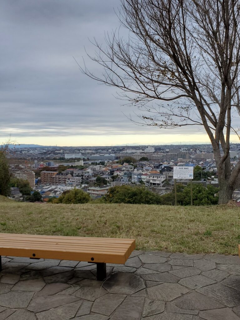 桜ヶ丘公園 ゆうひの丘、ベンチの合間に宇宙桜・醍醐桜を右手に望んで
