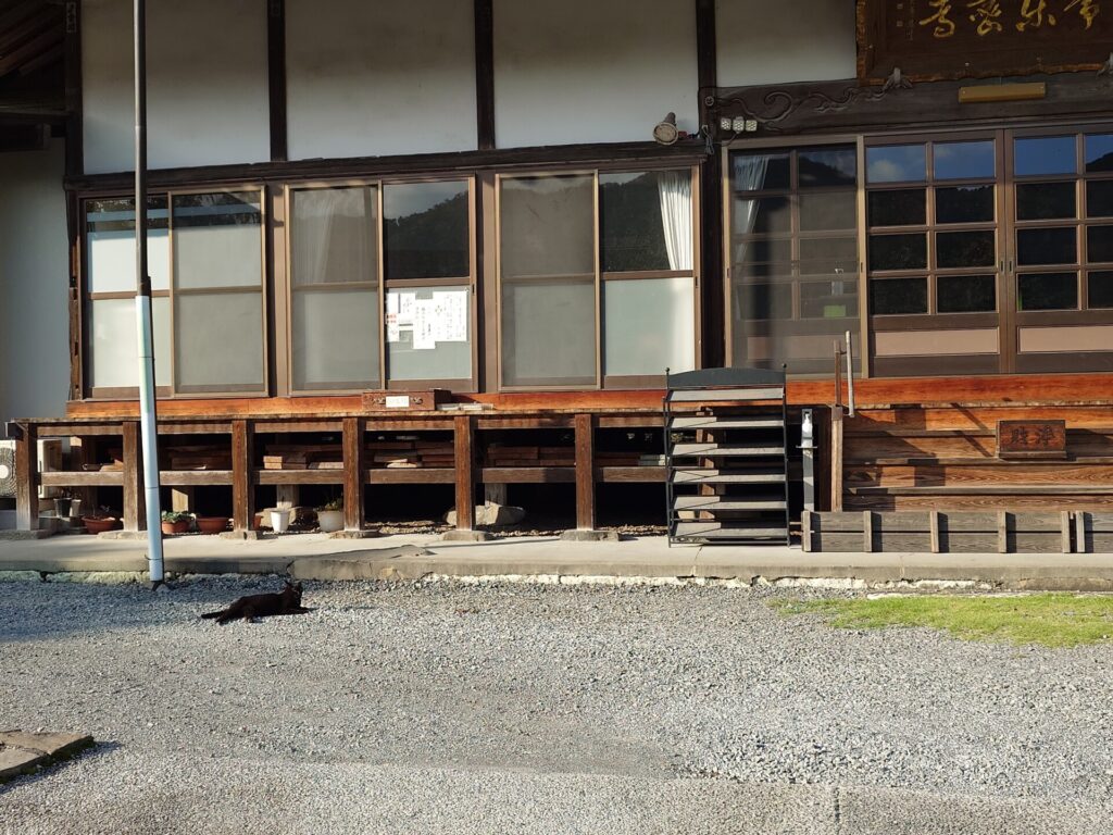 本堂と黒猫